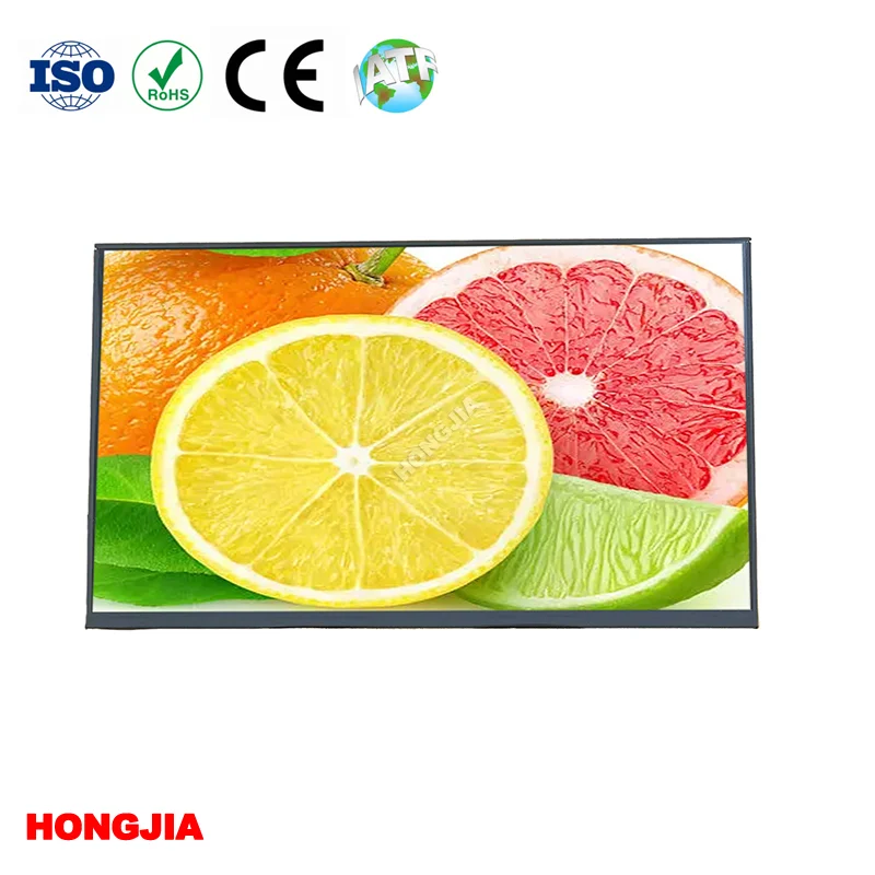 10,1 inch TFT IPS-scherm 1920x1080 met lvds 40PIN-interface