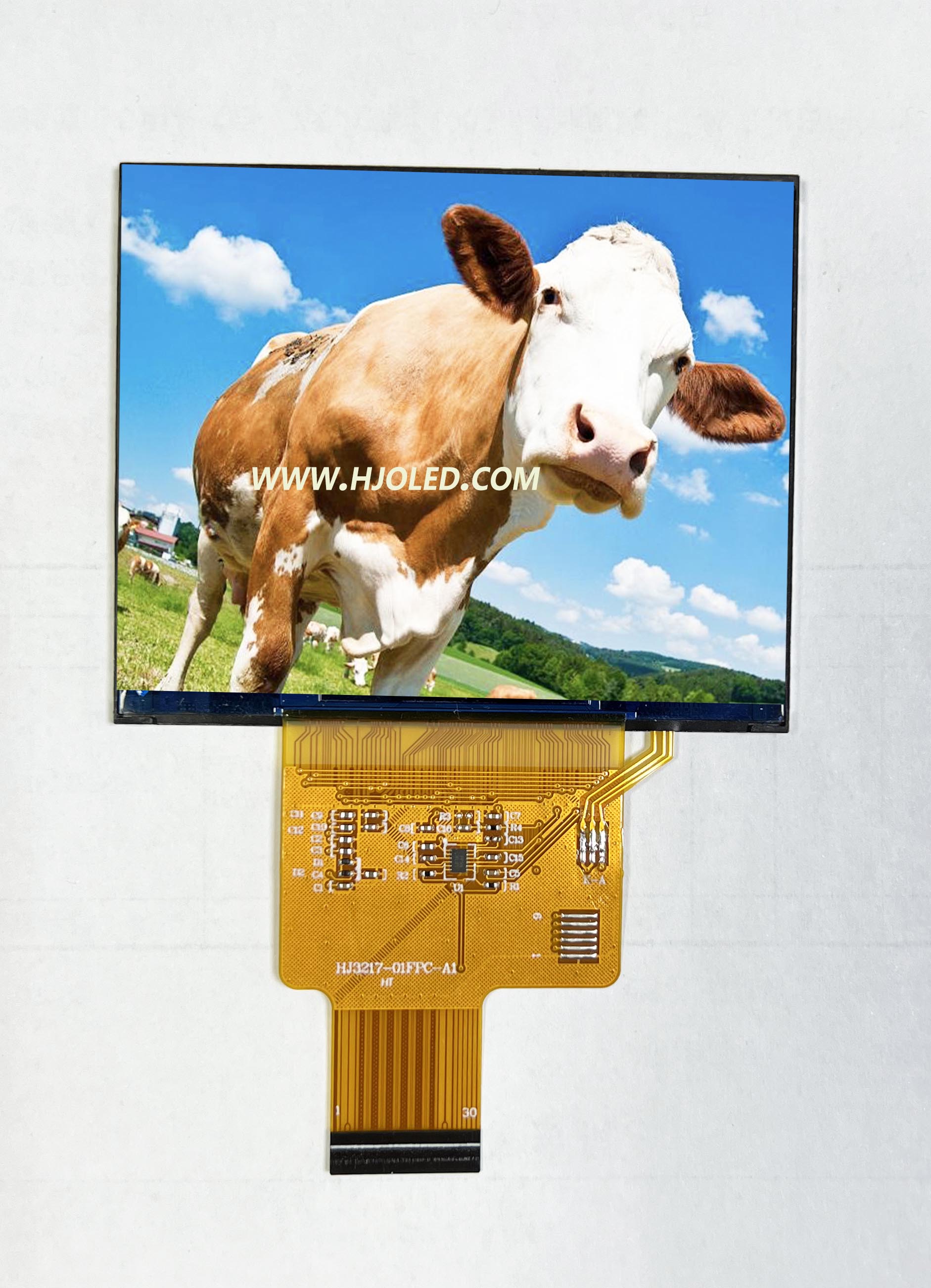 3.17-inch IP's horizontaal schermweergave met 1024*768 resolutie, ondersteunt meerdere interfaces