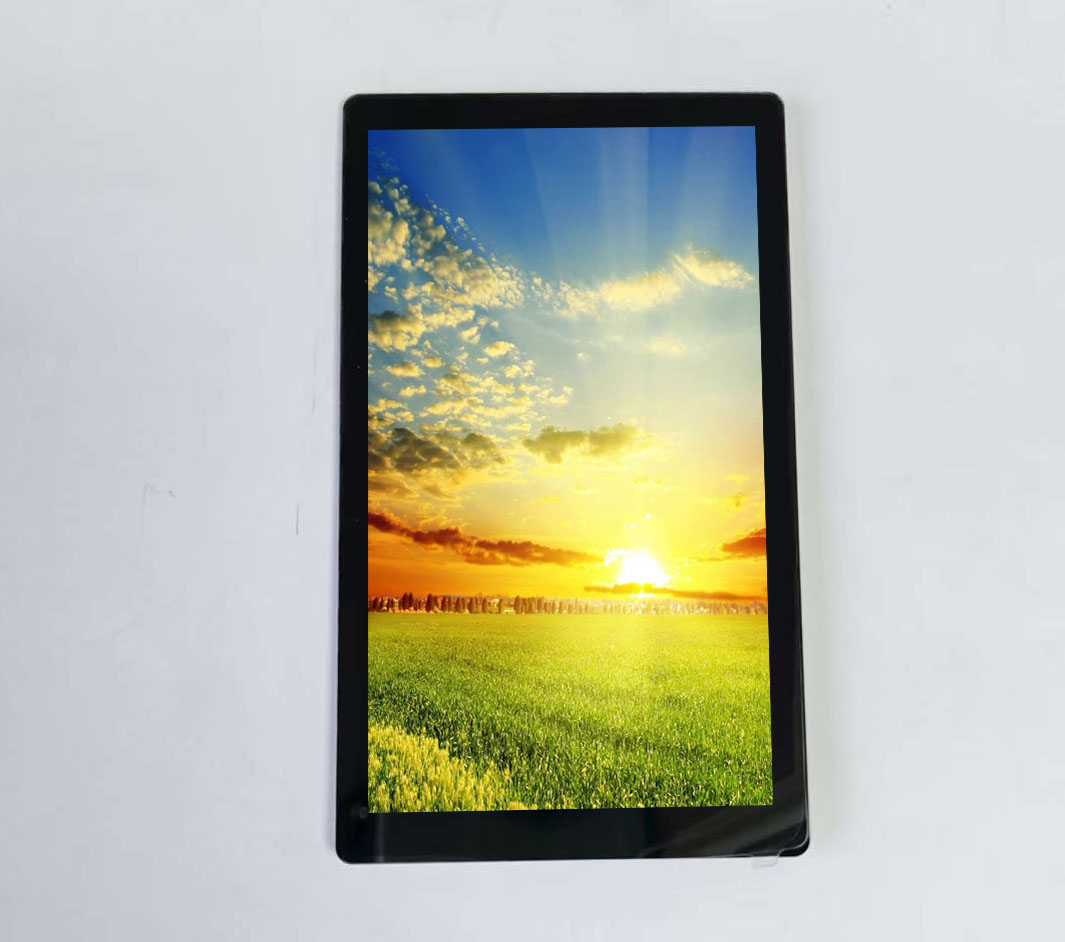4,3-inch Incell LCD met 480*800 resolutie en touchscreen, ultradunne en goedkope.